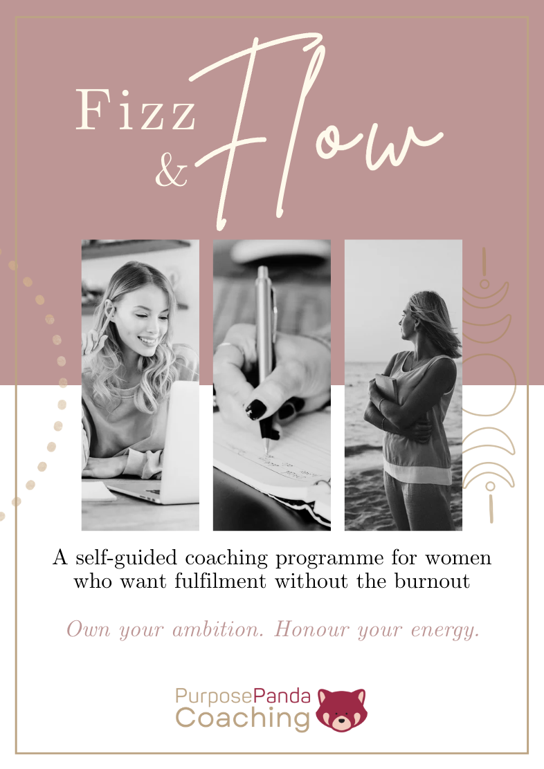 Fizz and Flow workbook Fizz and Flow workbook